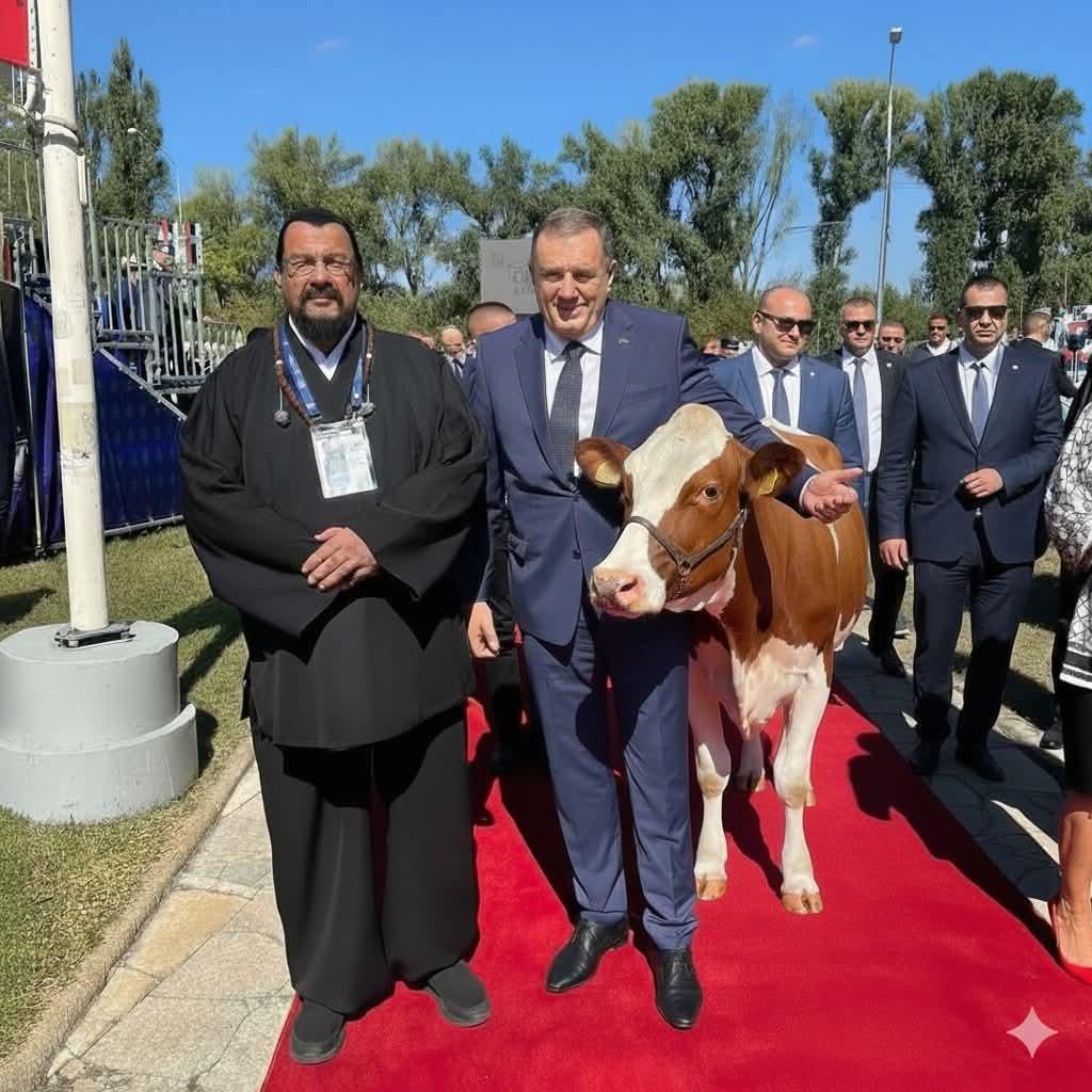 Three oxen, a living nature