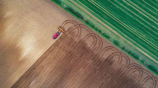 Humanity has entered an Age of Rewilding. Global agricultural land use has been declining since the 2000s, and even with the population projected to peak at 9 billion, it will still decline further.