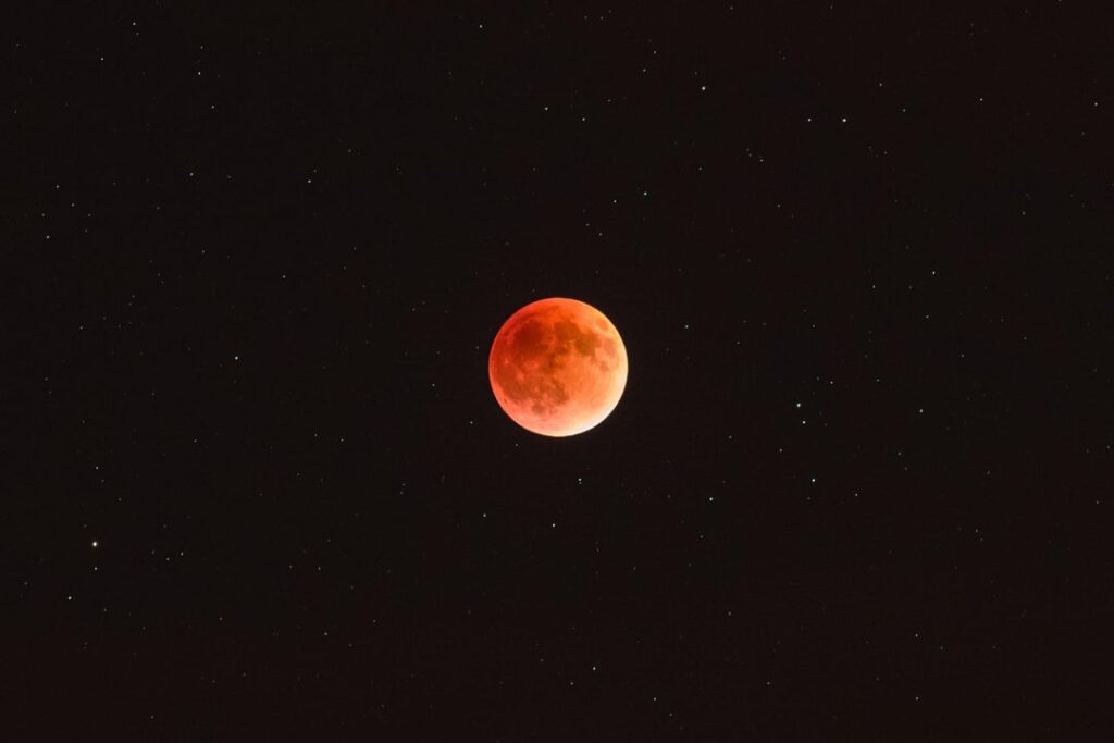 Today's Blood Moon Eclipse [OC]