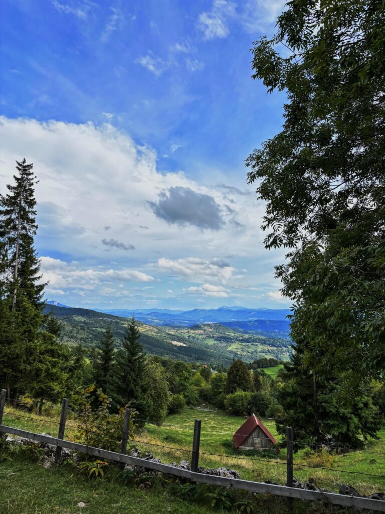 Barice, chavljak