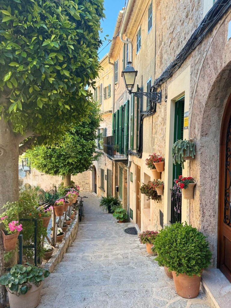 Mallorca 🕌🌞 - Valdemassa and Alcudia