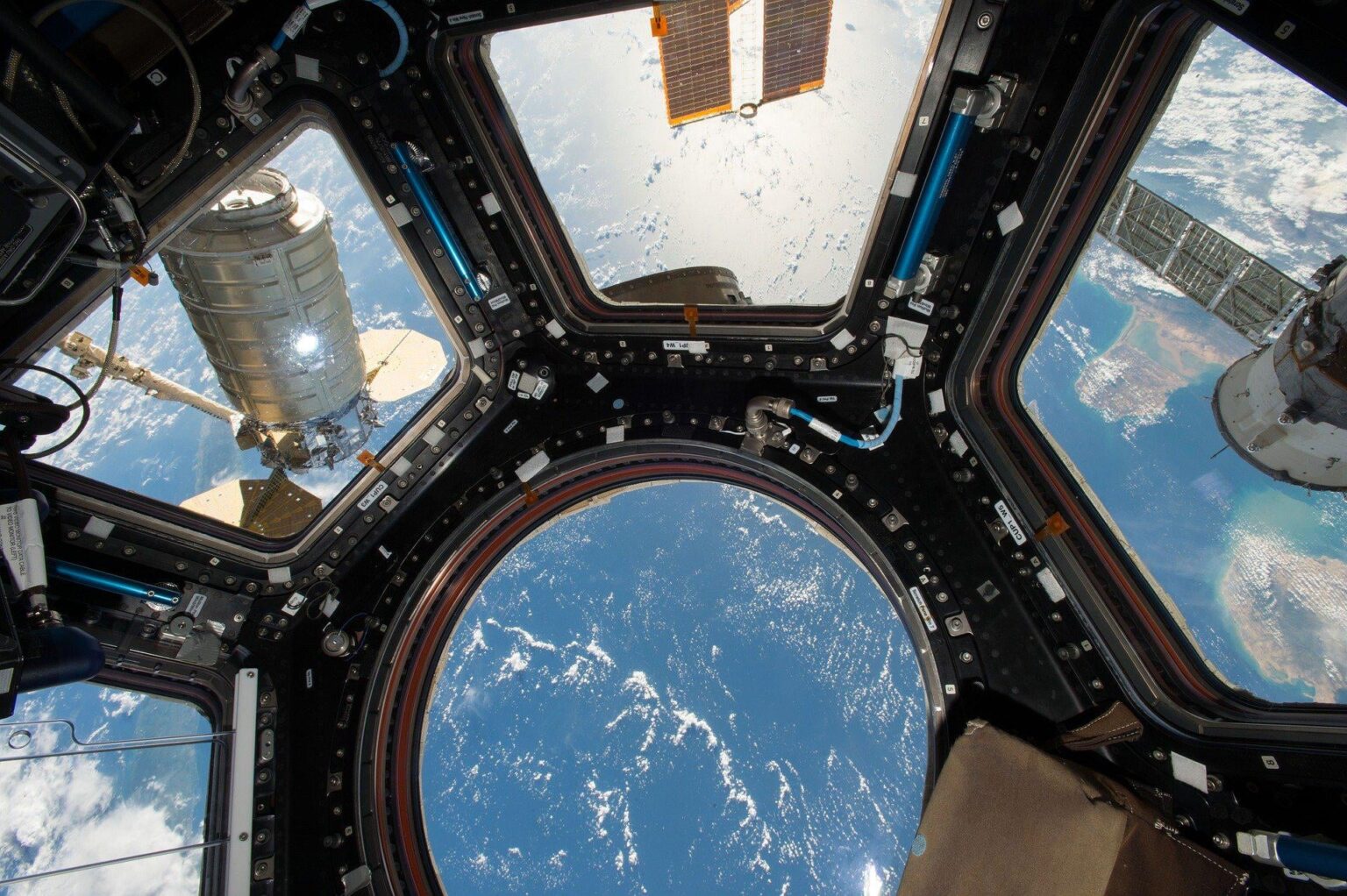 Spaceflight accelerates human stem cell aging, researchers find