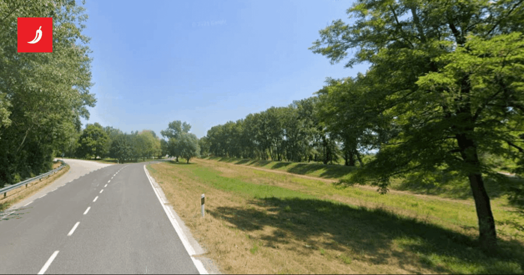 A citizen would kill a cyclist in the Republic of Croatia, released. "I thought the deer"