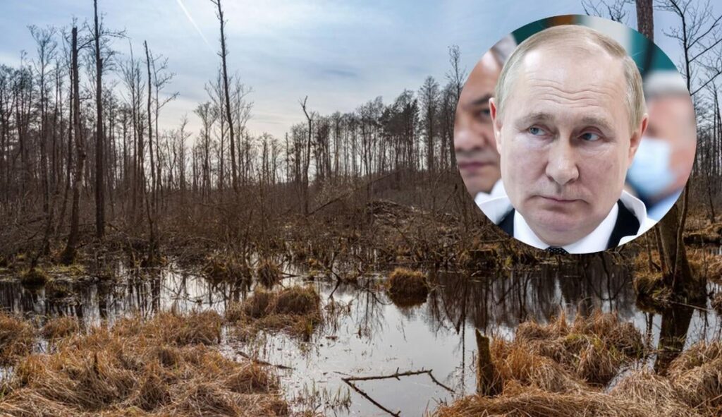 Poland is planning to restore peat bogs, to the anger of Russia and to rescue the environment
