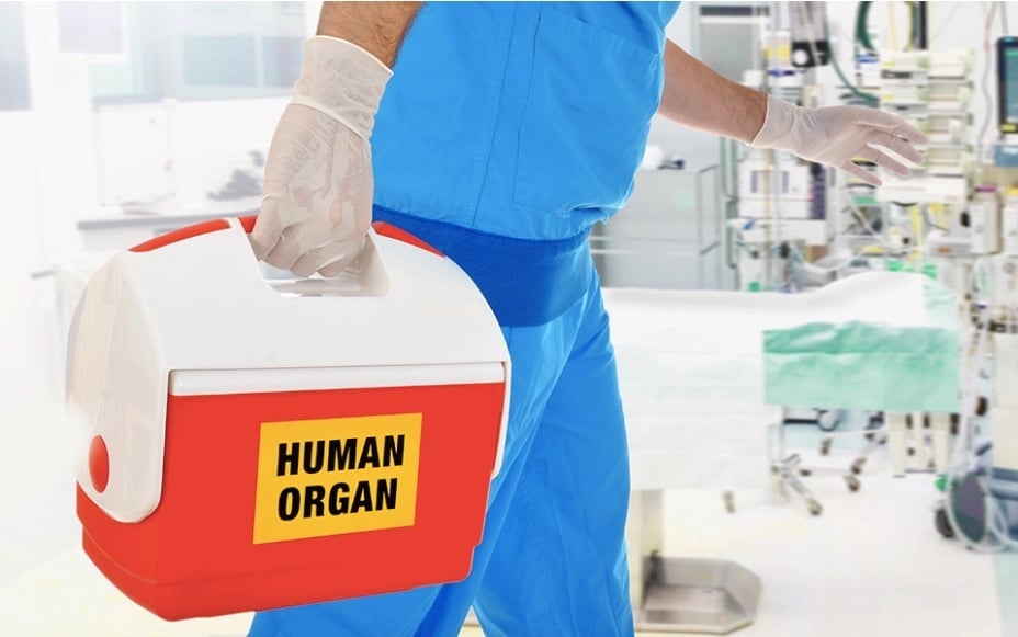 Greece breaks records in organ donations, transplants