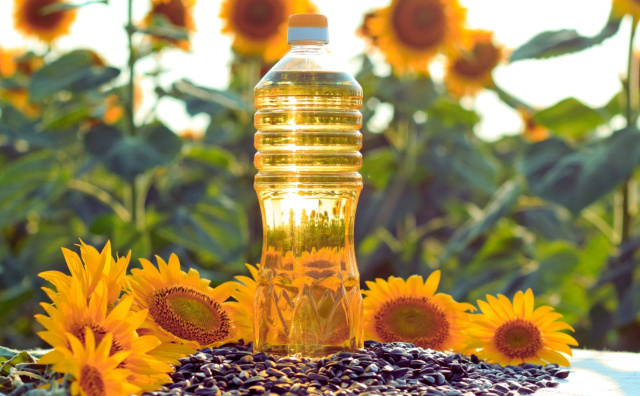 Bulgaria: From Sunflower Oil to the Euro: How Low Price Awareness Could Fuel Inflation in Bulgaria