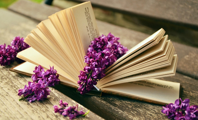 Nearly 9,000 Books Published in Bulgaria in 2024, NSI Reports – Novinite.com Bulgaria: Nearly 9,000 Books Published in Bulgaria in 2024, NSI Reports