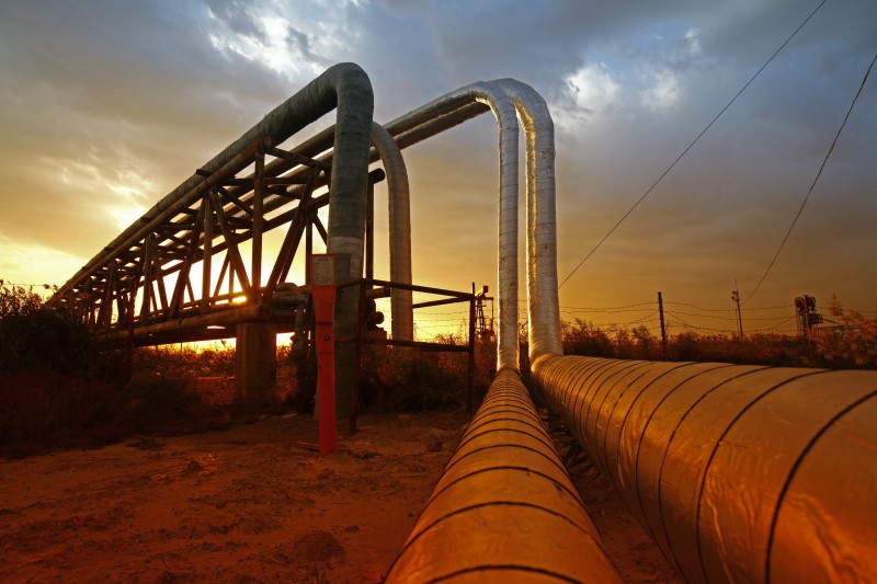 Permitting reform is key to U.S. energy expansion, urges Energy Workforce