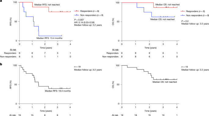 Personalized mRNA vaccines against pancreatic cancer have built up long-lasting killer T cells in a Nature study. After 3.2 years, responders remained relapse-free significantly longer than non-responders.