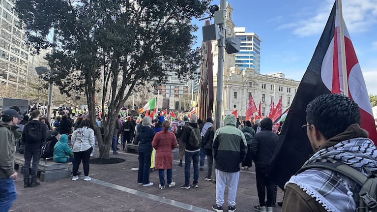 Pro-Palestine supporters descent upon Auckland's CBD. 
