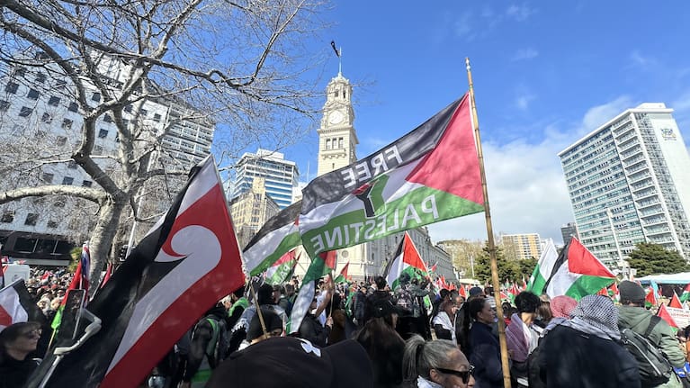 Pro-Palestine supporters in Aotea Square.