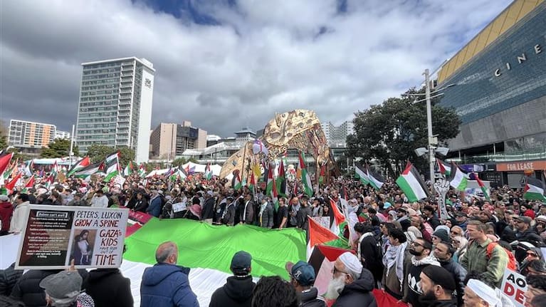 Pro-Palestine supporters in Aotea Square