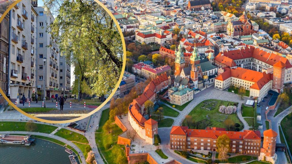 Property prices in Poland surge with two cities now rivalling cost of Rome