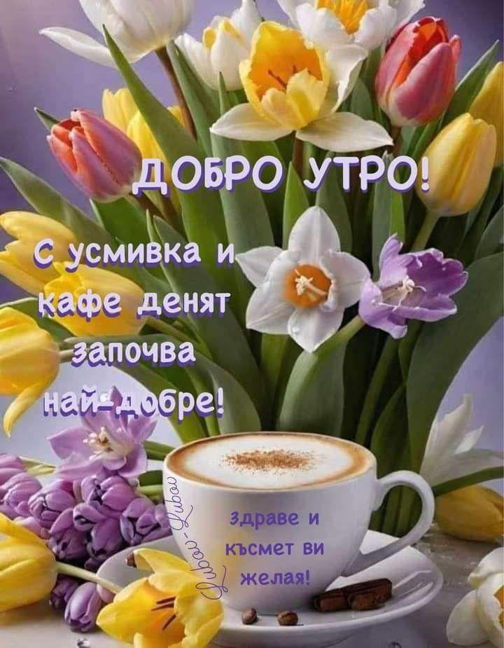 Good morning and successful day