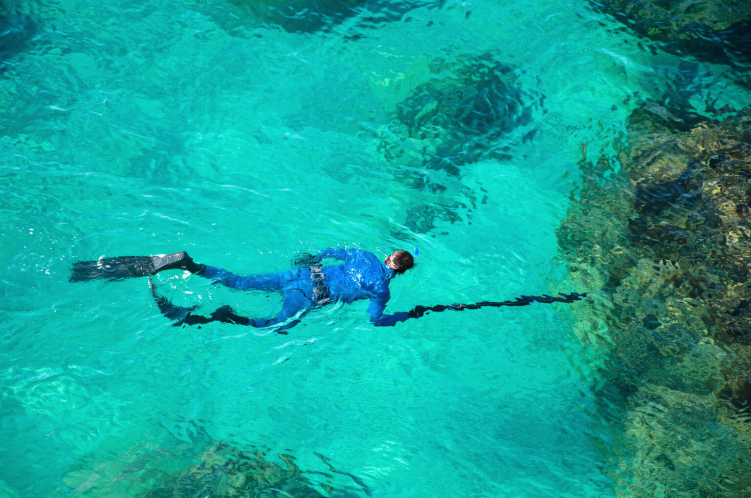 Seven of the best spearfishing spots in New Zealand