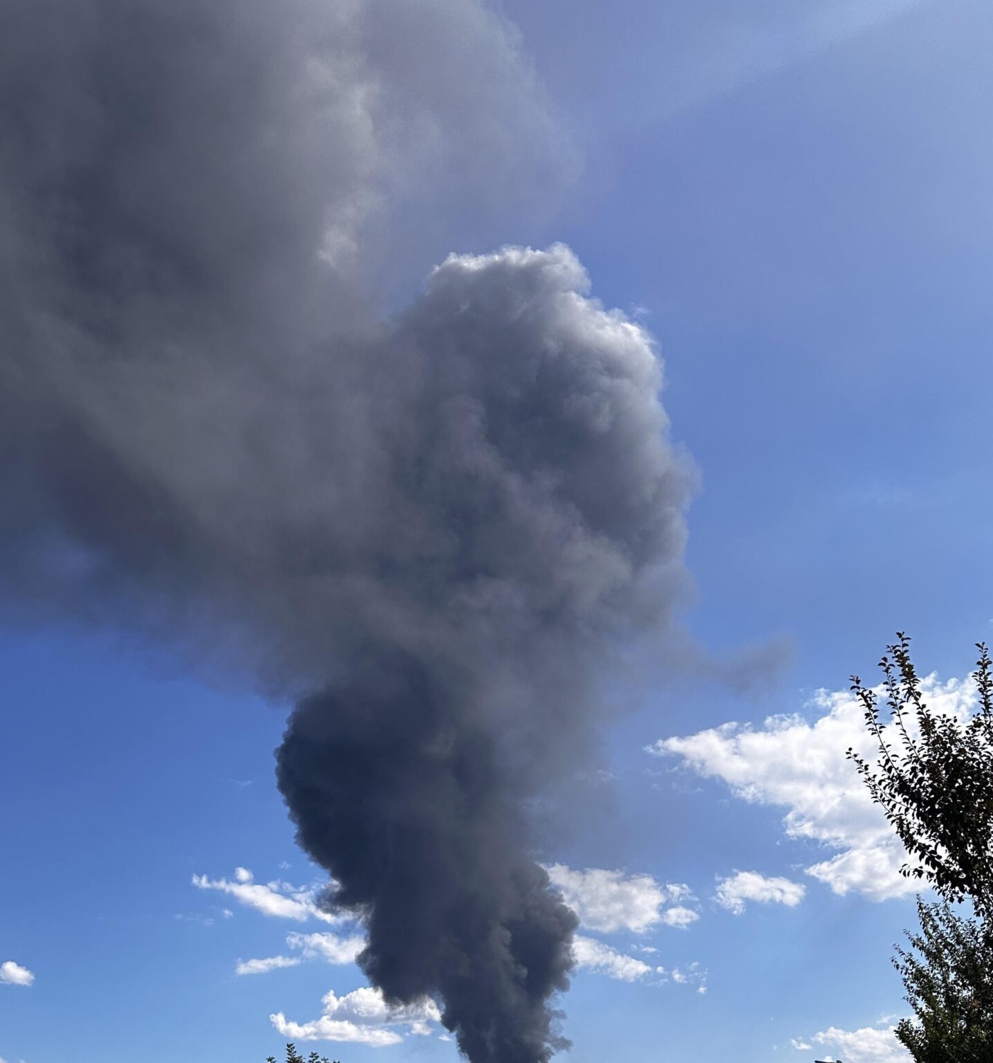 Trubarevo fire