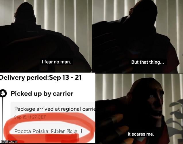 The thrill of not knowing if your package will end up in an endless loop of the Chinese seller and public Polish company passing the responsibility to each other.