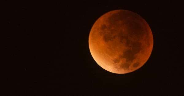 Lunar and partial solar eclipses this month over New Zealand