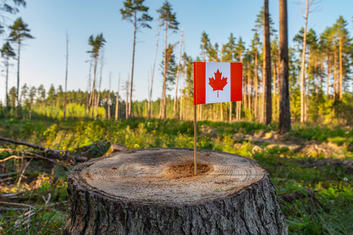 Environmental concern over Canada's governance of new nation-building projects