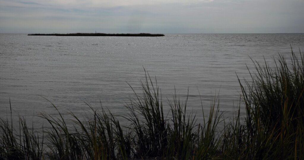 Proposed revision to Chesapeake Bay agreement cuts out climate change, environmentalists say