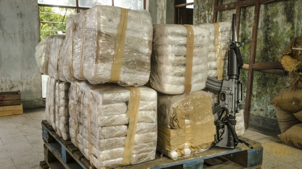 Naturalized Iranian Identified as Key Player in Major Drug Trafficking Network in Turkey Naturalized Iranian Identified as Key Player in Major Drug Trafficking Network in Turkey