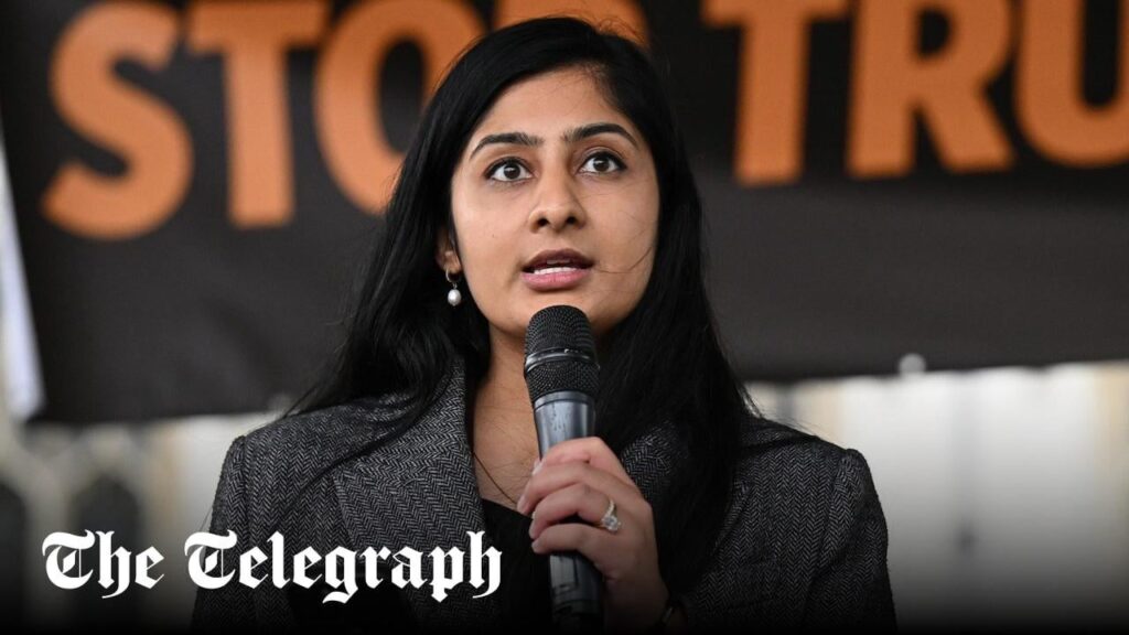 Corbyn party chaos deepens as Sultana membership portal crashes