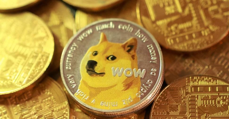 Il Sole 24 Ore: Triestina Calcio in the hands of a cryptocurrency: Dogecoin Foundation is the first shareholder