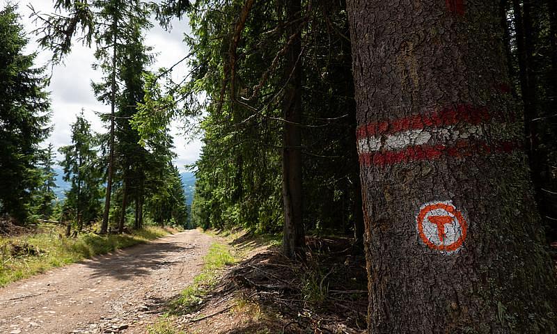 Via Transilvanica: Long-distance trail crossing Romania could receive EEA and Norway Grants funding, minister says