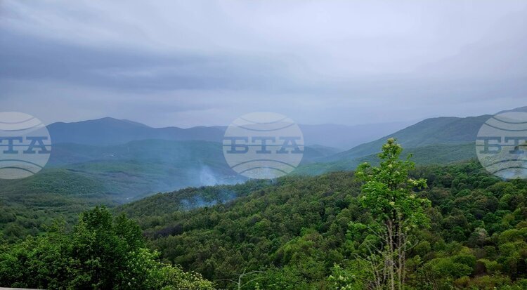 Ban on Movement in Forests in North Macedonia Extended Due to Ongoing Wildfire Risk