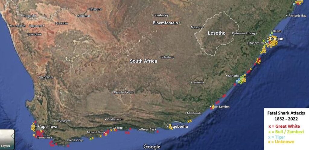 Fatal Shark Attacks in South Africa – Species Breakdown