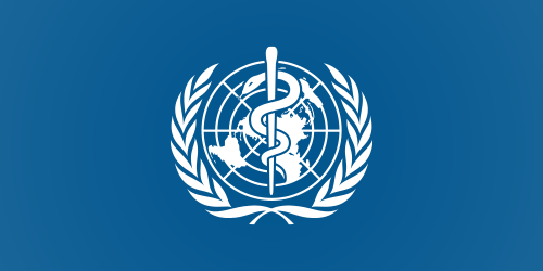 Final workshop in Bosnia and Herzegovina of the joint WHO/EU project aimed at strengthening immunization in the Western Balkans