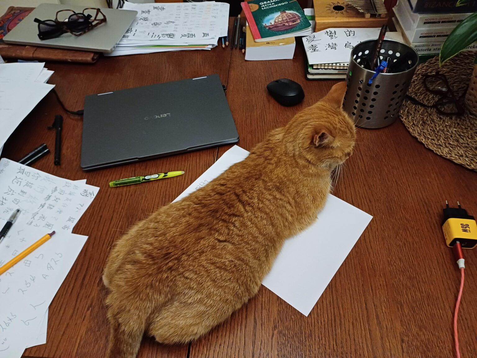 What to do in such a situation?