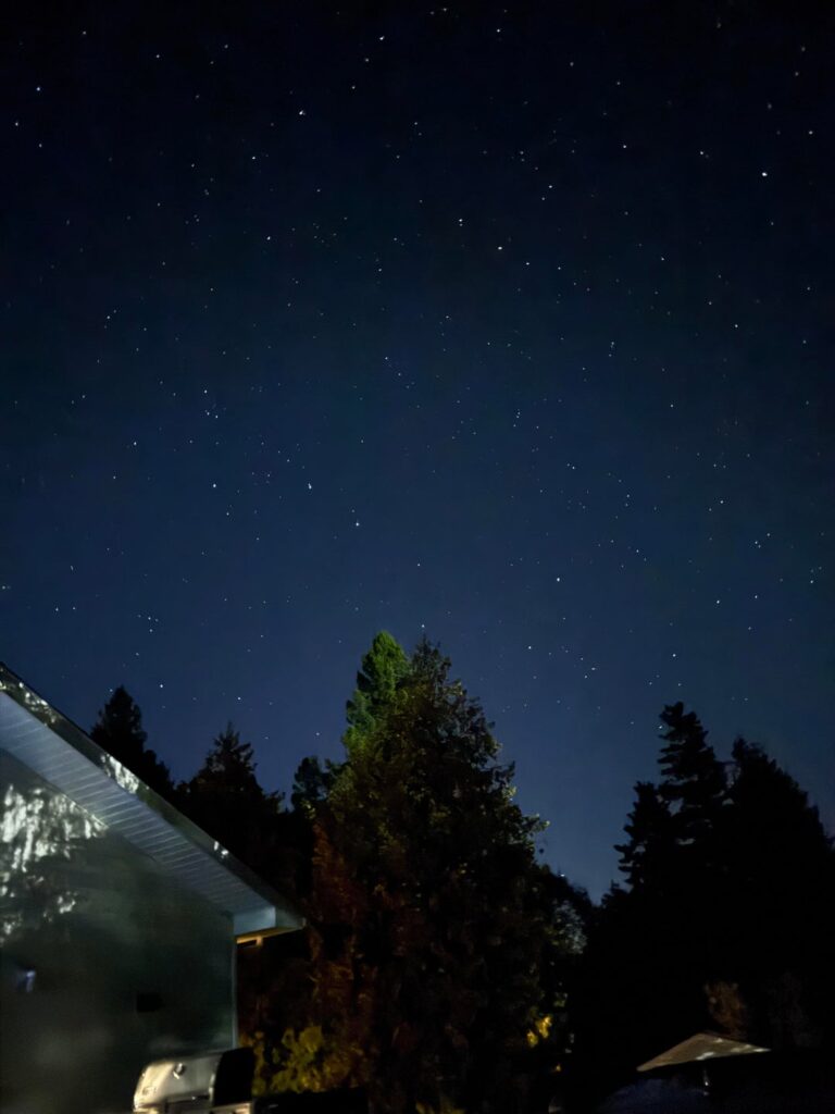Looked up a few nights ago