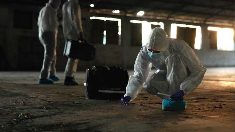 The largest scandal in the history of the Croatian food industry, how is it possible that in one week it must be killed by 12,000 pigs and 160,000 chickens?