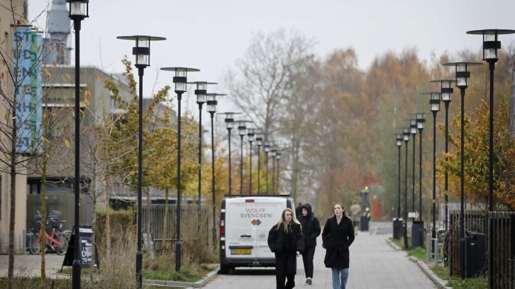 Roskilde University's storms continue: 300 signatures collected against the board's "populist, anti-immigrant rhetoric"