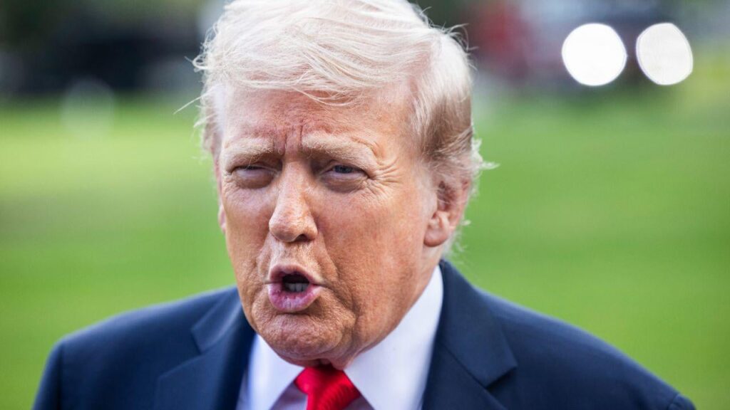 U.S. President Donald Trump has said that the Russian violation of Polish airspace “could have been a mistake”