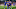 FBL-WC-2026-EUR-QUALIFIERS-CRO-CZE FBL-WC-2026-EUR-QUALIFIERS-CRO-CZE