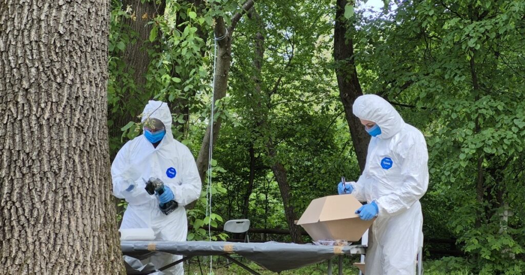 Ukraine allowed Poland to conduct a new exhumation of victims of the Volyn tragedy Ukraine allowed Poland to conduct a new exhumation of victims of the Volyn tragedy