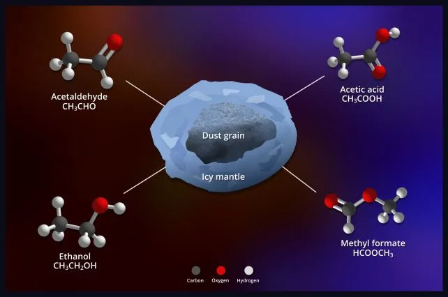An illustration of some of the detected COMs in the ice coating on a grain of dust. (<a href="https://cmns.umd.edu/news-events/news/marta-sewilo-discovers-building-blocks-life-ice-around-forming-star" rel="nofollow noopener" target="_blank" data-ylk="slk:NASA's Goddard Space Flight Center;elm:context_link;itc:0;sec:content-canvas" class="link ">NASA's Goddard Space Flight Center</a>)