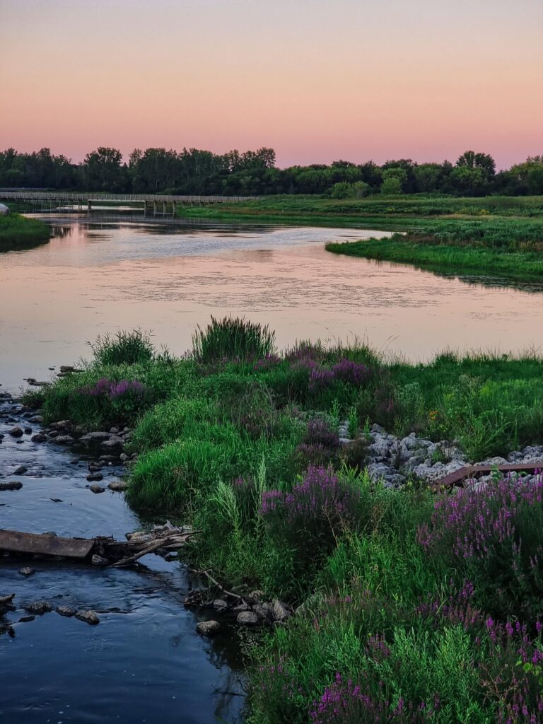 I make sure to take a walk here once a week Atleast before the winter comes!