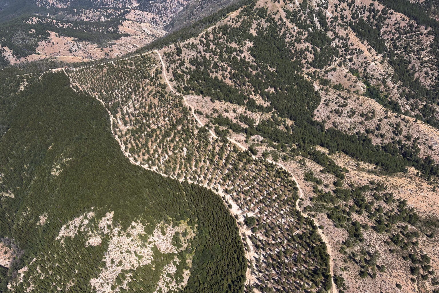 Fix Our Forests Act divides environmental community