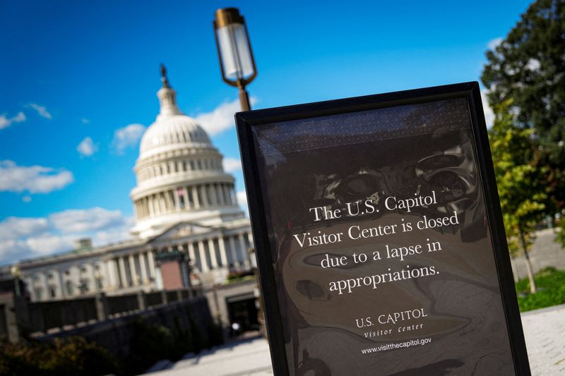 US government shutdown will inflict temporary pain to economy