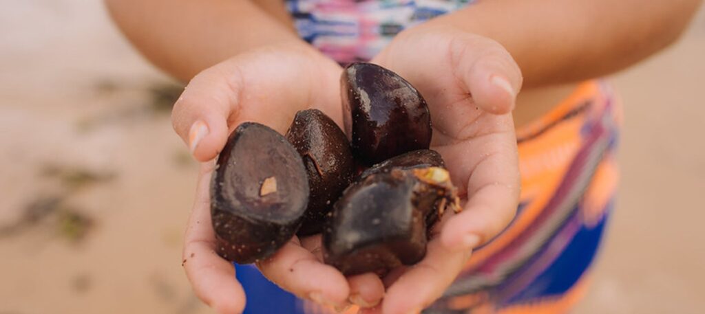An Economic Alternative to Protect the Amazon and Empower Its People