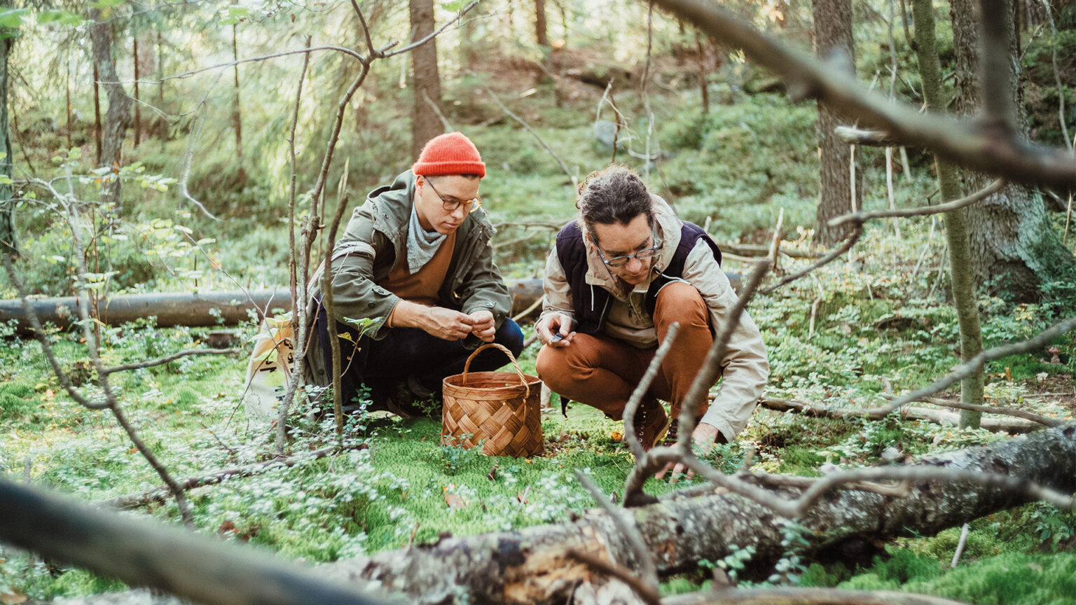 Foraging is a way of life in Finland. What can we learn from the forest? Foraging is a way of life in Finland. What can we learn from the forest?
