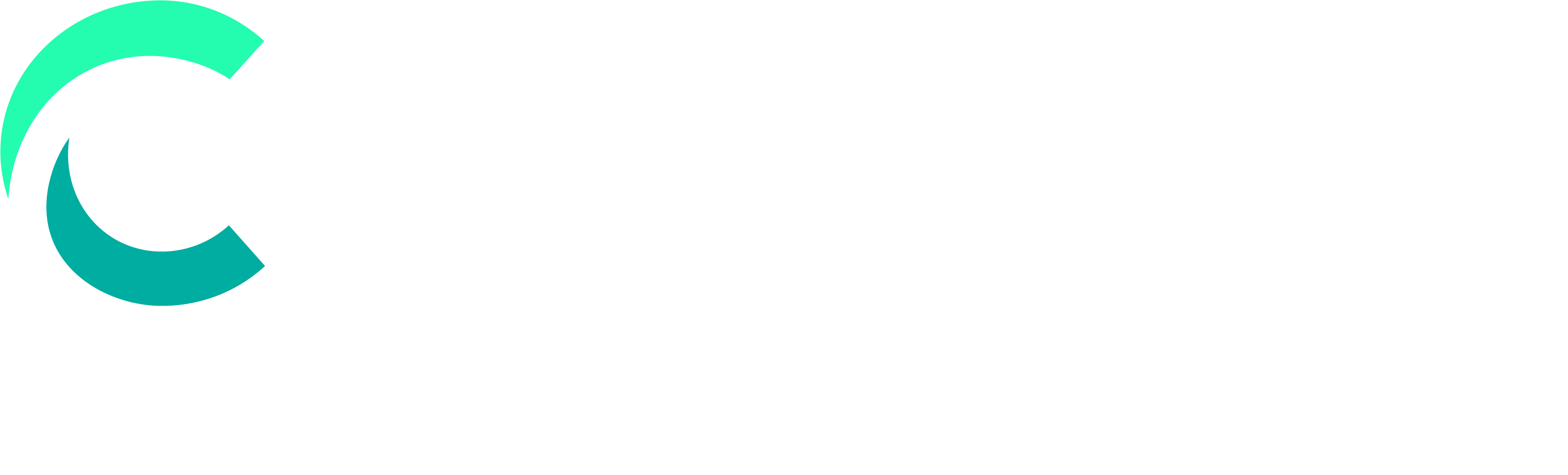 Light logo alt text