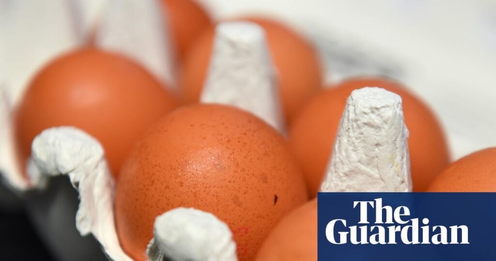 Warnings of imports of caged hen eggs as Ukraine and Poland become UK’s biggest suppliers | Eggs Warnings of imports of caged hen eggs as Ukraine and Poland become UK’s biggest suppliers | Eggs