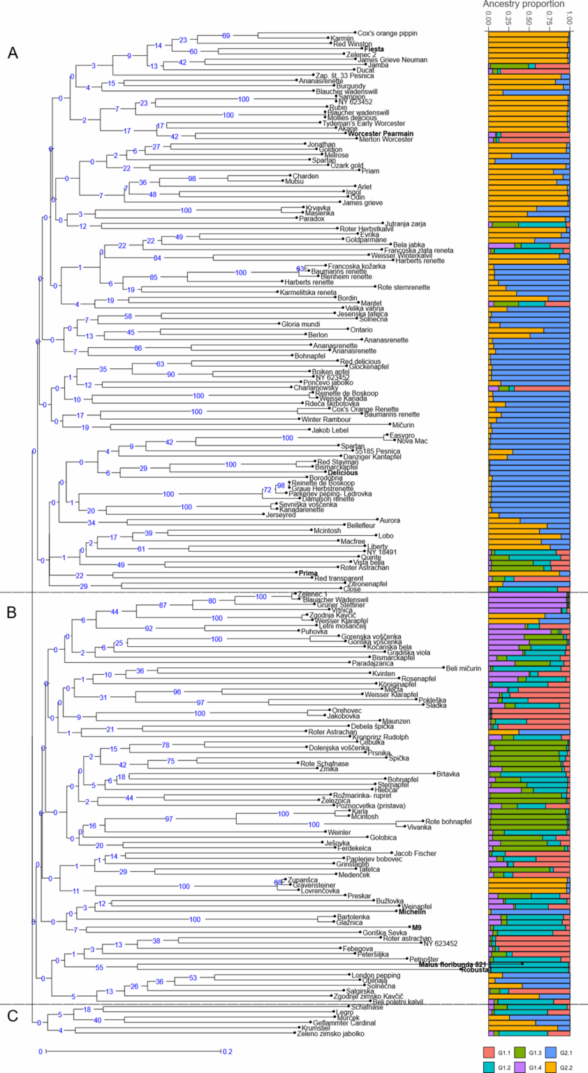 Cytometric and genetic analysis of Slovenian local apple genotypes | BMC Plant Biology Cytometric and genetic analysis of Slovenian local apple genotypes | BMC Plant Biology