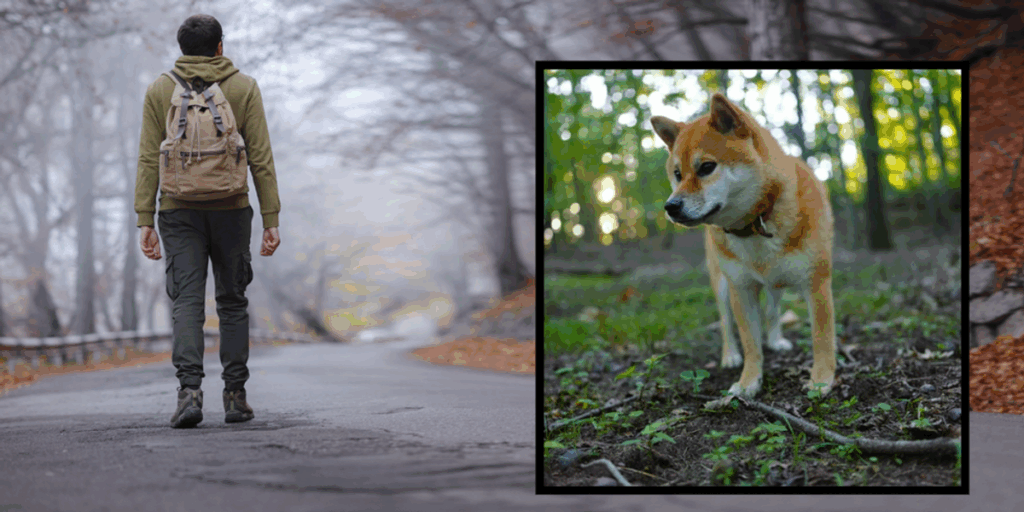 A man was walking across Japan alone for 256 days. Then he met a tiny Shiba Inu.