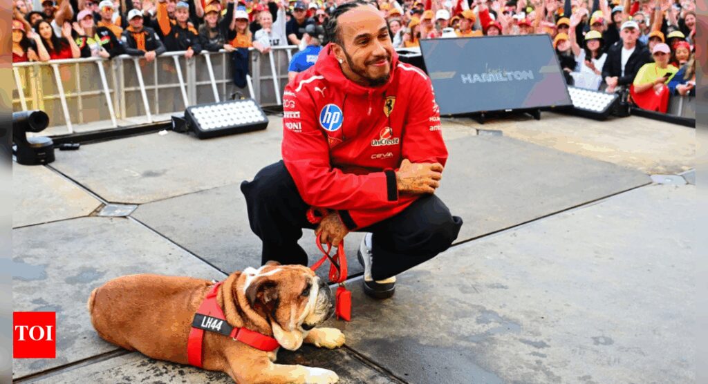 Lewis Hamilton reveals LEGO portrait of his dog Roscoe days after emotional farewell in Italy | Formula One News