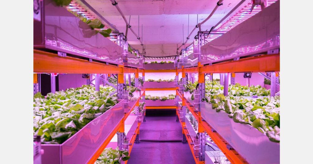 Green Tech developing hydroponic greenhouse complex in Romania